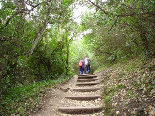 Cortes de la Frontera Codice Promozionale Spagna Booking.com