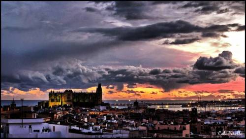 Palma de Mallorca Espa&ntilde;a codigo de promocion booking.com