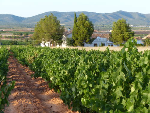 San Juan de Requena Spanje promotiecode booking.com