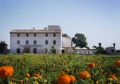 Alboraya España codigo de promocion booking.com