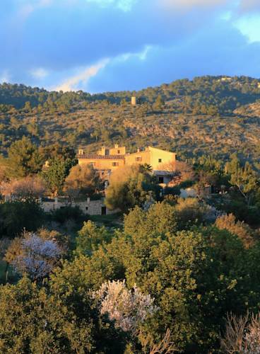 Calvia Codice Promozionale Spagna Booking.com
