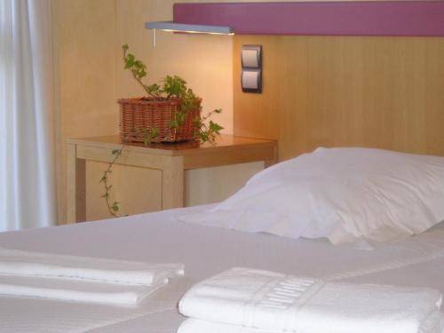 Cangas de Onís Codice Promozionale Spagna Booking.com