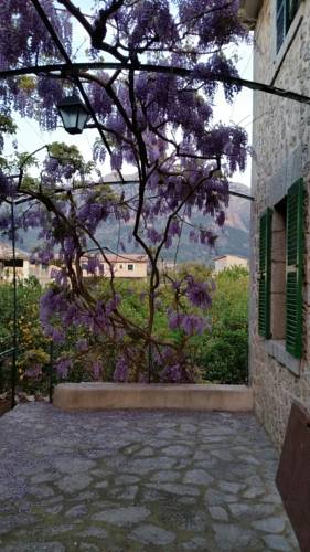 Sóller España codigo de promocion booking.com