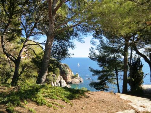 Lloret de Mar Espa&ntilde;a codigo de promocion booking.com