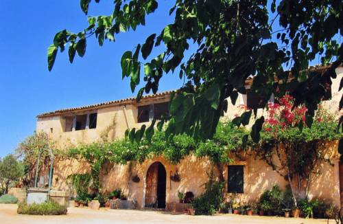 Calas de Mallorca Codice Promozionale Spagna Booking.com