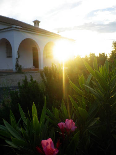 Algodonales Codice Promozionale Spagna Booking.com