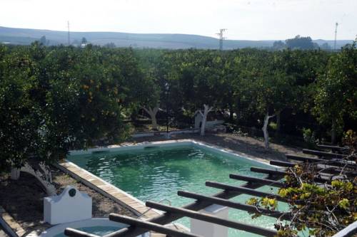 Peñaflor Code Promo Espagne Booking.com